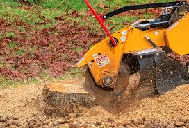 Best Tree Risk Assessment  in Citrus Park, FL