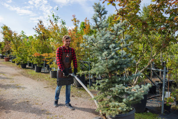 Best Commercial Tree Services  in Citrus Park, FL
